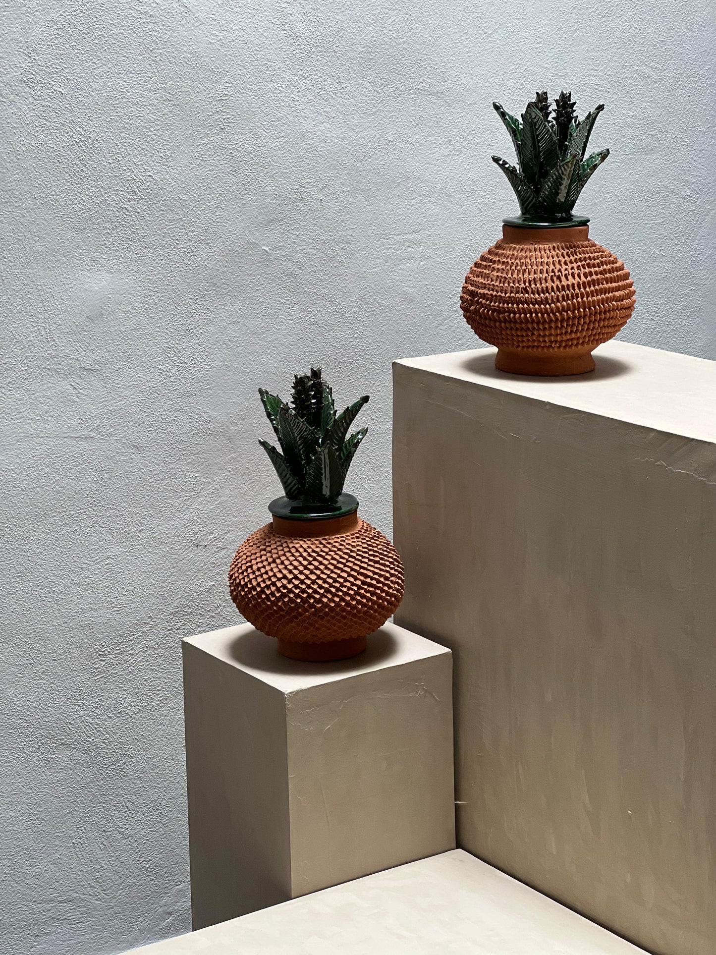 Piña Tierra 26
