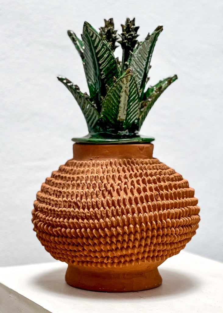 Piña Tierra 26