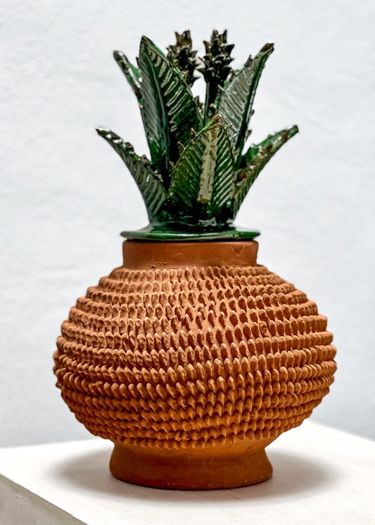 Piña Tierra 26