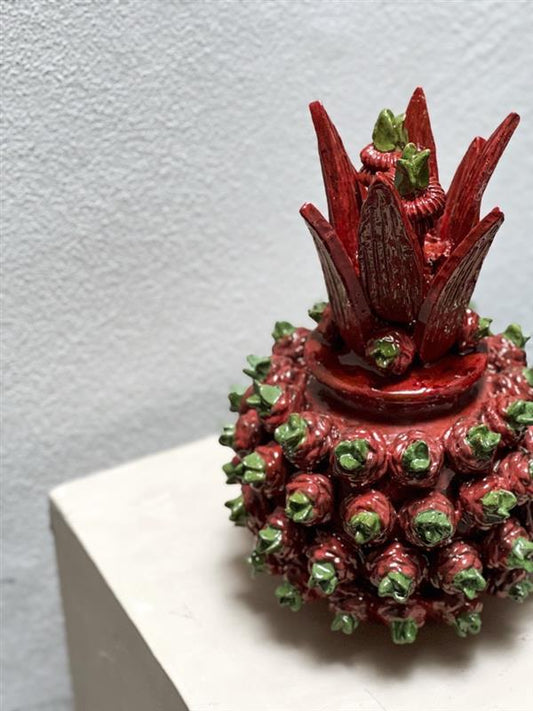Piña Canto 28