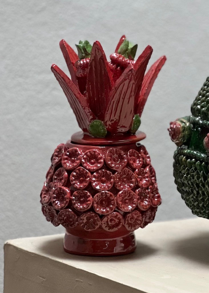 Piña Coraza 29
